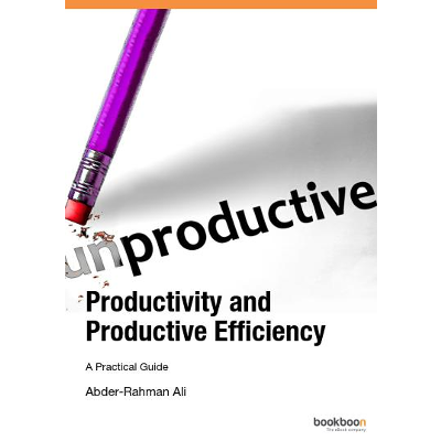 Productivity and Productive Efficiency icon
