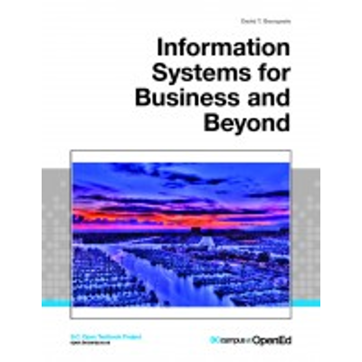Information Systems for Business and Beyond icon