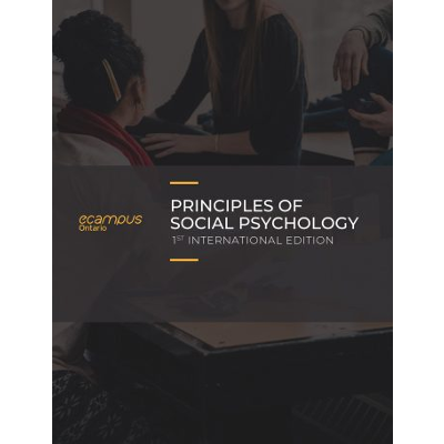 Principles of Social Psychology - 1st International Edition icon