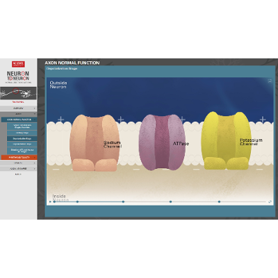 Neuron to Neuron - Normal and Toxic Reactions icon