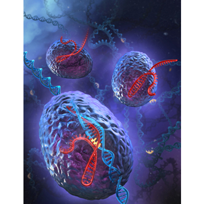 Questions and Answers about CRISPR icon