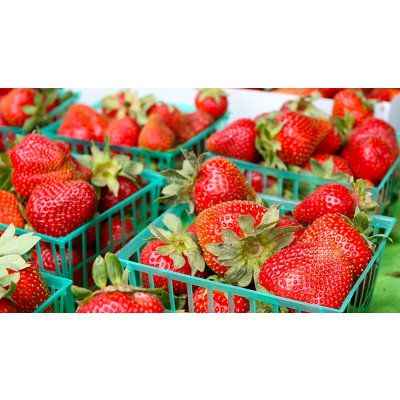 Nourish: Food + Community | Kanopy