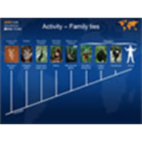 Primate Evolution – Family Ties icon