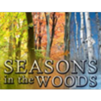 Seasons in the Woods icon