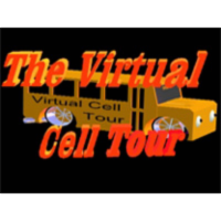 A virtual cell icon