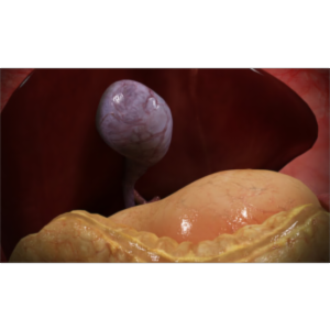 Surgery Games & Patient Education icon