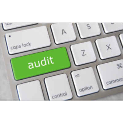 Auditing Financial Statements icon