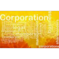 Corporate Governance icon