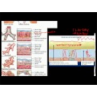 Physiology & Pathophysiology of the Pulmonary System icon