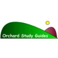 Financial Accounting Interactive Study Guide icon