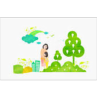 Society, Economy, and the Environment icon