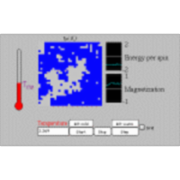 The Two-Dimensional Ising Model icon