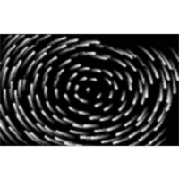 Java Exploration Tool for Dynamical Systems