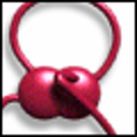 The Cardiovascular System