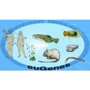 euGenes icon