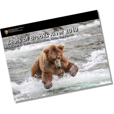 Bears of Brooks River at Katmai National Park & Preserve (eBook) icon