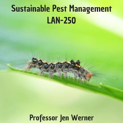 LibGuides: Sustainable Pest Management LAN 250 icon