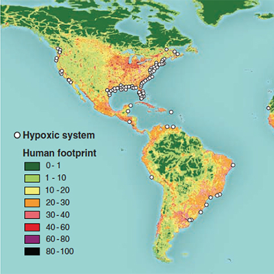 Dead Zones in Coastal Ecosystems icon