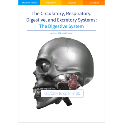 The digestive system icon