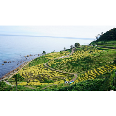 Introduction to Cultural Landscape Management icon