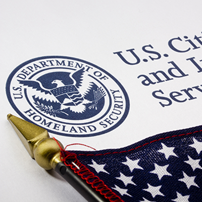 Basics of Immigration Law icon