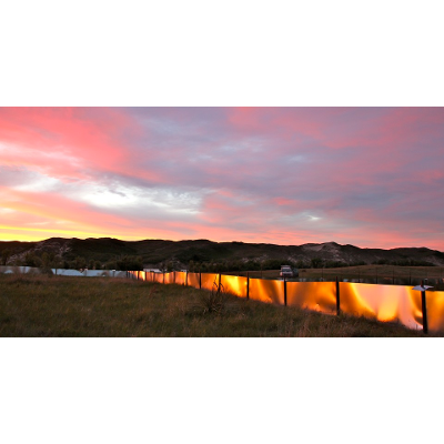 The Wild Experiment That Showed Evolution in Real Time icon