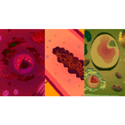 Plant Cell Tutorial icon