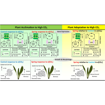 RNA-Seq shows plants are adapting to increasing atmospheric CO2 icon