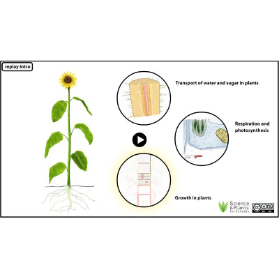 Biology animations icon