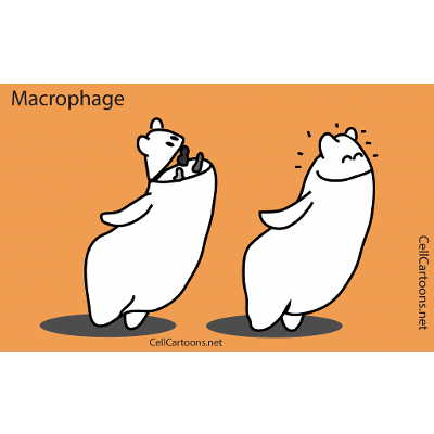 Macrophage | Cell Cartoons icon
