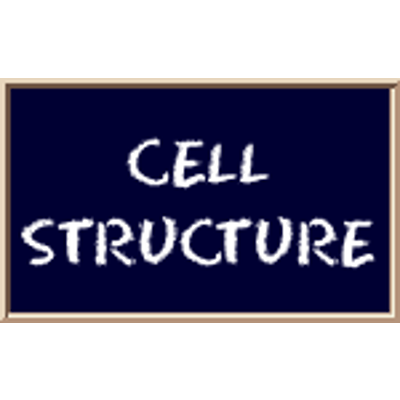 Biology4Kids.com: Cell Structure icon