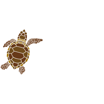 Sea Turtles and their Anatomy icon