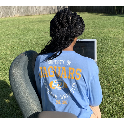 Preparing Faculty and Students for Online Learning- Southern Univ. System (SUS) icon