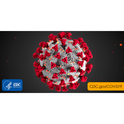Coronavirus Disease 2019 (COVID-19) icon