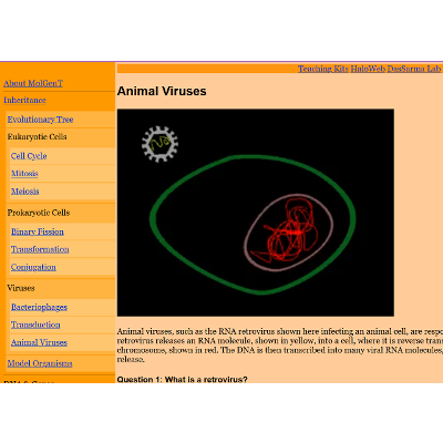 MolGenT - online, self-guided Molecular Genetics Tutor icon