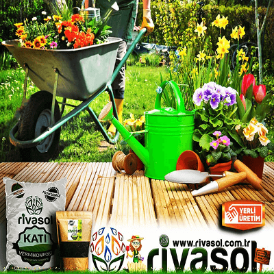 Hangi Solucan Gübresi? Solucan Gübresi Nedir? icon