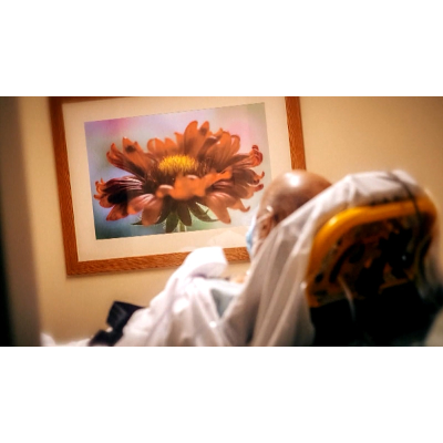 UVA Health Doctors explain racism’s negative impact on physical health icon