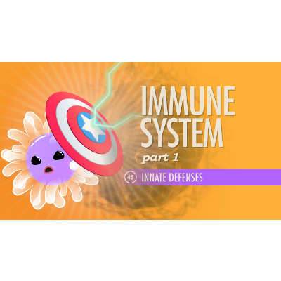 Immune System, Part 1: Crash Course A&amp;P #45 icon