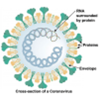 Changing Recommendations about How to Reduce Your Risk of Coronavirus Infection – What is the evidence? icon