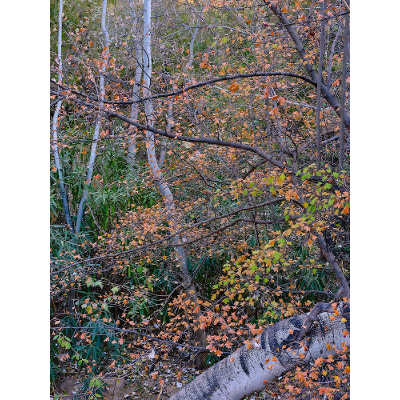 Making the most of lighting conditions in your landscape photography icon