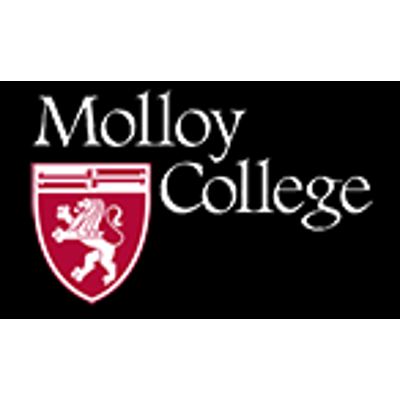 Organizational Identity and Esports in Higher Education icon