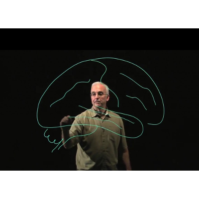 Welcome to Learn Medical Neuroscience - Learn Medical Neuroscience icon