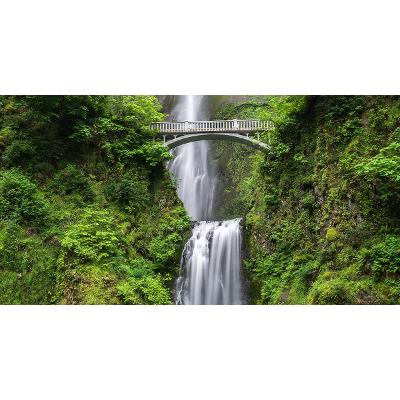 Sustainability - What Is It? Definition, Principles and Examples