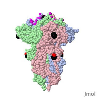 SARS-CoV-2 spike protein mutations icon