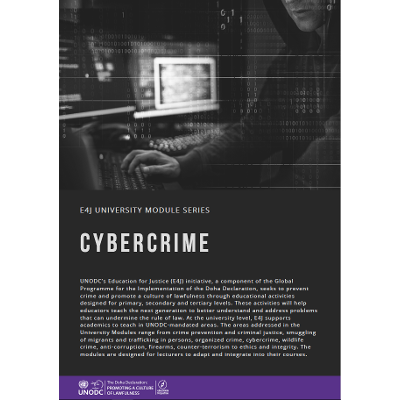 Cybercrime icon