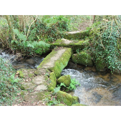 Belonging Meditation Lesson Plan icon