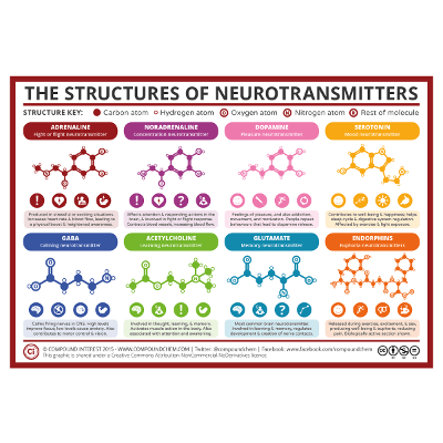 A Simple Guide to Neurotransmitters icon