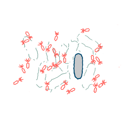 Mutations - Relentless Drivers of Evolution and Disease icon