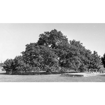 Hampton University at 150: Mission still holds through growth, progress icon