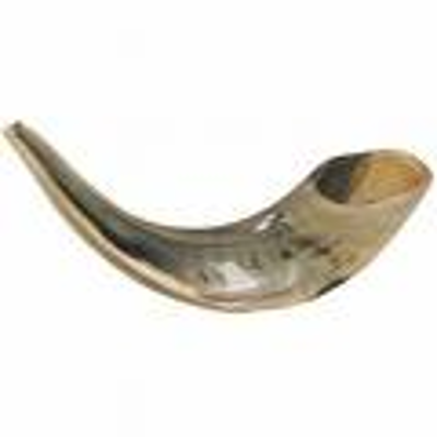 Shofar Embouchure icon